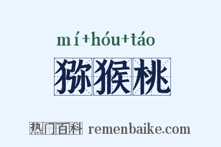 猕猴桃是什么意思的图片